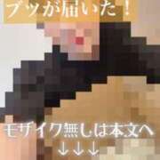 ヒメ日記 2025/06/30 23:00 投稿 きらら 紳士の嗜み 大宮