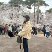 ヒメ日記 2025/07/05 00:00 投稿 きらら 紳士の嗜み 大宮