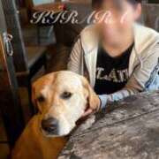 ヒメ日記 2025/10/11 21:46 投稿 きらら 紳士の嗜み 大宮