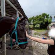 ヒメ日記 2025/12/21 00:01 投稿 きらら 紳士の嗜み 大宮