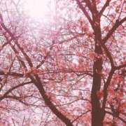 ヒメ日記 2025/04/05 12:21 投稿 いのりちゃん ちょい！ぽちゃロリ倶楽部Hip's馬橋店