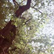 ヒメ日記 2025/09/25 11:05 投稿 いのりちゃん ちょい！ぽちゃロリ倶楽部Hip's馬橋店