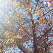 ヒメ日記 2025/10/08 13:01 投稿 いのりちゃん ちょい！ぽちゃロリ倶楽部Hip's馬橋店