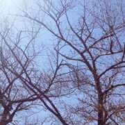 いのりちゃん 残りわずか🙇 ちょい！ぽちゃロリ倶楽部Hip's馬橋店