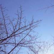 ヒメ日記 2026/01/10 13:32 投稿 いのりちゃん ちょい！ぽちゃロリ倶楽部Hip's馬橋店