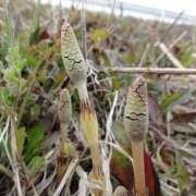 ヒメ日記 2025/02/26 18:27 投稿 水谷 人妻最後の砦 小岩店