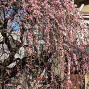 ヒメ日記 2025/02/27 19:09 投稿 水谷 人妻最後の砦 小岩店