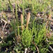 ヒメ日記 2025/03/01 12:03 投稿 水谷 人妻最後の砦 小岩店