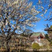 ヒメ日記 2025/03/06 08:23 投稿 水谷 人妻最後の砦 小岩店
