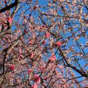 ヒメ日記 2025/03/10 09:21 投稿 水谷 人妻最後の砦 小岩店