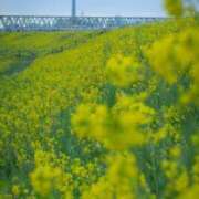 ヒメ日記 2025/03/22 09:45 投稿 水谷 人妻最後の砦 小岩店