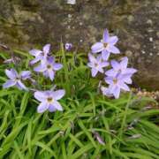 ヒメ日記 2025/03/28 09:13 投稿 水谷 人妻最後の砦 小岩店