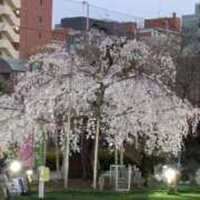 ヒメ日記 2025/03/29 09:15 投稿 水谷 人妻最後の砦 小岩店