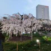 ヒメ日記 2025/03/31 09:01 投稿 水谷 人妻最後の砦 小岩店