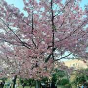 ヒメ日記 2025/04/05 10:01 投稿 水谷 人妻最後の砦 小岩店