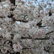 ヒメ日記 2025/04/10 21:03 投稿 水谷 人妻最後の砦 小岩店