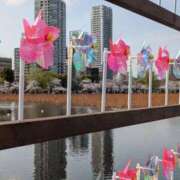 ヒメ日記 2025/04/13 09:30 投稿 水谷 人妻最後の砦 小岩店