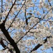 ヒメ日記 2025/04/14 09:15 投稿 水谷 人妻最後の砦 小岩店