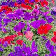 ヒメ日記 2025/04/20 10:02 投稿 水谷 人妻最後の砦 小岩店