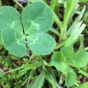 ヒメ日記 2025/04/30 10:31 投稿 水谷 人妻最後の砦 小岩店