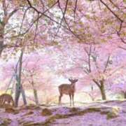 ヒメ日記 2025/05/04 10:31 投稿 水谷 人妻最後の砦 小岩店