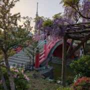 ヒメ日記 2025/05/13 10:02 投稿 水谷 人妻最後の砦 小岩店