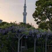 ヒメ日記 2025/05/19 10:01 投稿 水谷 人妻最後の砦 小岩店