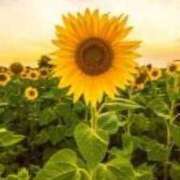 ヒメ日記 2025/06/30 12:30 投稿 水谷 人妻最後の砦 小岩店