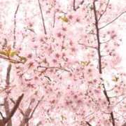 ヒメ日記 2026/04/18 10:31 投稿 水谷 人妻最後の砦 小岩店