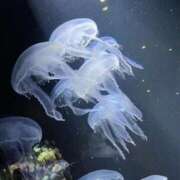 ヒメ日記 2026/03/02 22:33 投稿 りん ぷよステーション大宮店