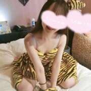 ヒメ日記 2025/07/18 11:35 投稿 かずは 優しいM性感 五反田