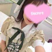 ヒメ日記 2026/01/29 14:57 投稿 かずは 優しいM性感 五反田