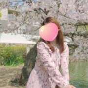 ヒメ日記 2025/04/19 09:26 投稿 とわこ 逢って30秒で即尺