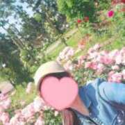 ヒメ日記 2025/04/23 19:50 投稿 とわこ 逢って30秒で即尺