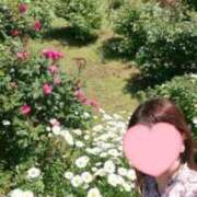 ヒメ日記 2025/06/26 08:09 投稿 とわこ 逢って30秒で即尺