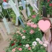 ヒメ日記 2025/07/17 10:50 投稿 とわこ 逢って30秒で即尺