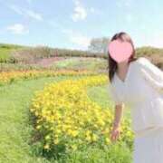 ヒメ日記 2025/08/08 20:27 投稿 とわこ 逢って30秒で即尺