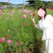 ヒメ日記 2025/09/30 07:34 投稿 とわこ 逢って30秒で即尺