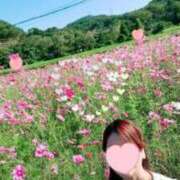 ヒメ日記 2025/10/21 10:11 投稿 とわこ 逢って30秒で即尺