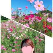 ヒメ日記 2025/10/27 05:09 投稿 とわこ 逢って30秒で即尺