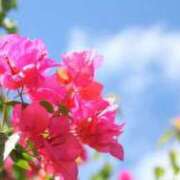 ヒメ日記 2025/11/09 10:26 投稿 とわこ 逢って30秒で即尺