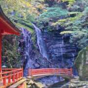 ヒメ日記 2025/11/13 21:49 投稿 とわこ 逢って30秒で即尺