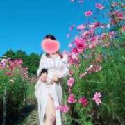 ヒメ日記 2025/11/20 13:23 投稿 とわこ 逢って30秒で即尺