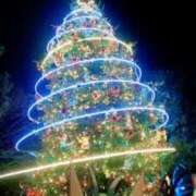 ヒメ日記 2025/12/25 16:14 投稿 とわこ 逢って30秒で即尺