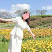 ヒメ日記 2026/03/01 16:17 投稿 とわこ 逢って30秒で即尺