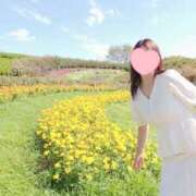 ヒメ日記 2026/03/21 12:43 投稿 とわこ 逢って30秒で即尺