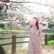 ヒメ日記 2026/03/28 10:18 投稿 とわこ 逢って30秒で即尺