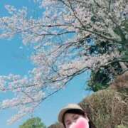 ヒメ日記 2026/04/05 10:39 投稿 とわこ 逢って30秒で即尺