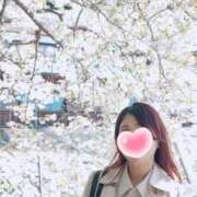 ヒメ日記 2026/04/11 08:18 投稿 とわこ 逢って30秒で即尺