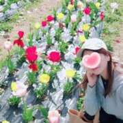 ヒメ日記 2026/04/12 10:24 投稿 とわこ 逢って30秒で即尺